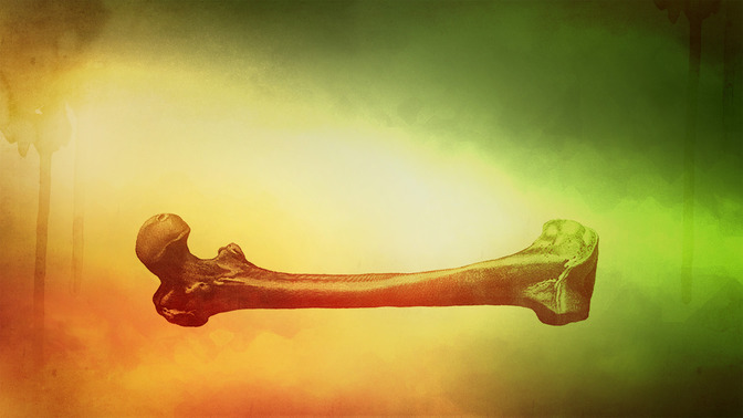 Bones_16x9-TITLE-3#preset=tg_title3.jpg