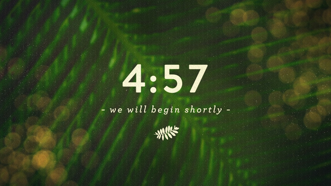 PalmBokeh_Countdown_720p_Preview.jpg
