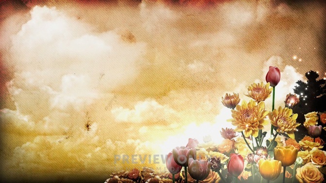 springflowers2b-HD.jpg