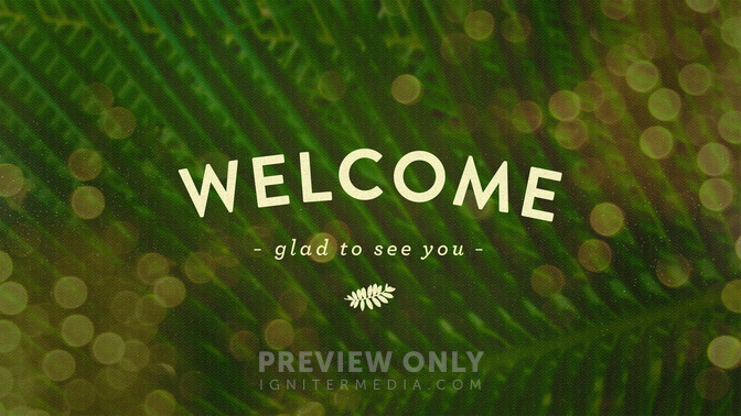 Palm_Bokeh_-_Welcome_16x9-TITLE-1#preset=tg_title1.jpg