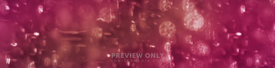 Streaked_Bokeh_Pink_MS_1920x480.jpg