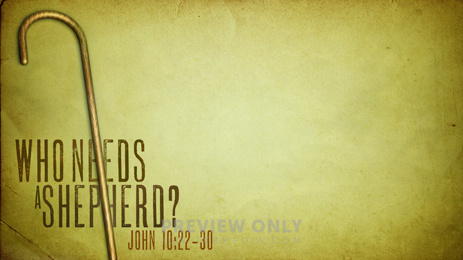 Who_Needs_a_Shepherd_16x9-CONTENT-1#preset=tg_alt1.jpg