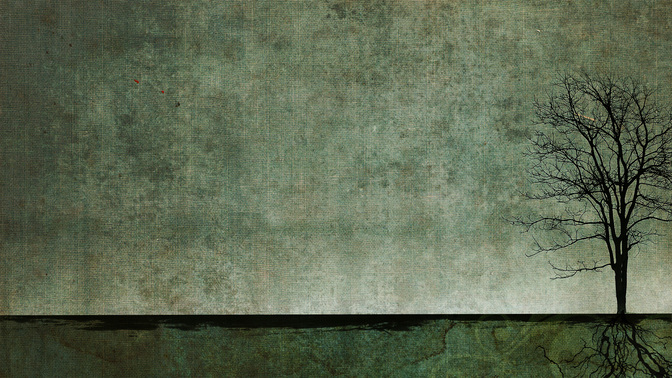 Dwell_In_Safety_WIDE-CONTENT-3#preset=tg_alt3.jpg