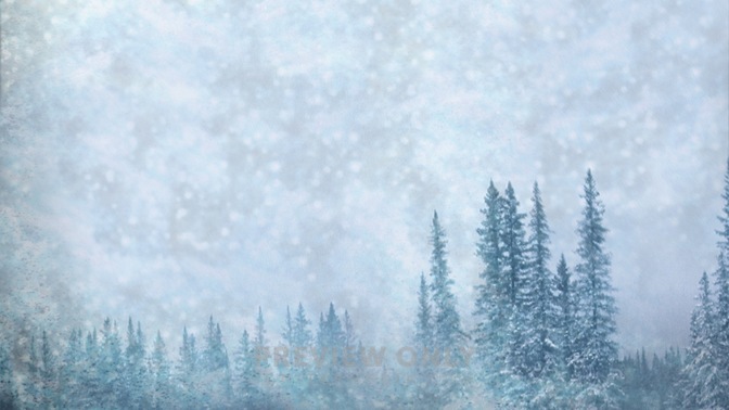Snowy_Trees_16x9.jpg