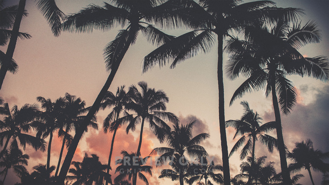 Hosanna_WIDE-TITLE-3#preset=tg_title3.jpg