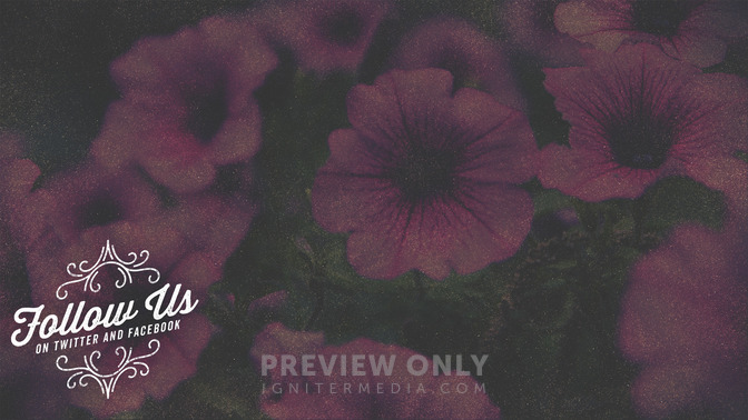 Spring_Swirls_-_Follow_Us_16x9-CONTENT-1#preset=tg_alt1.jpg