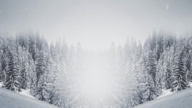 Majestic_Snow_Forest_HD.jpg