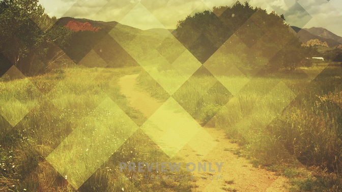 Pattern_Nature_Path_WIDE.jpg