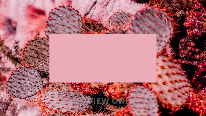 Womens_Conference-WIDE#preset=tg_title3.jpg