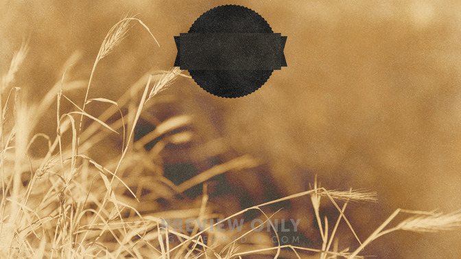Golden_Harvest_-_God_Bless_16x9-CONTENT-3#preset=tg_alt3.jpg