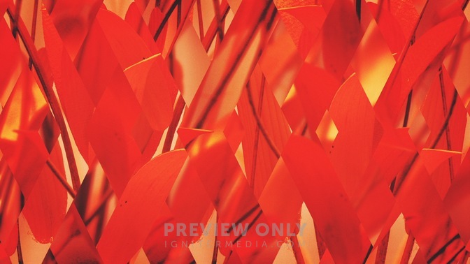 Spring_Shift_Red_Full_HD.jpg
