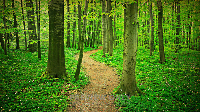 The_Way_of_Wisdom_16x9-TITLE-3#preset=tg_title3.jpg