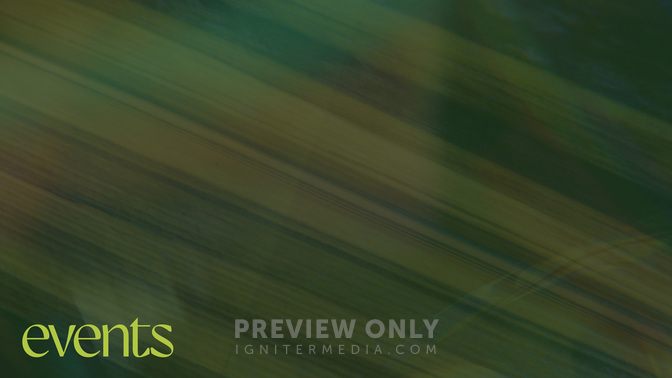 Easter Textures_Easter Texture_Alt1_Palm_Events_WIDE#preset=tg_alt1.jpg