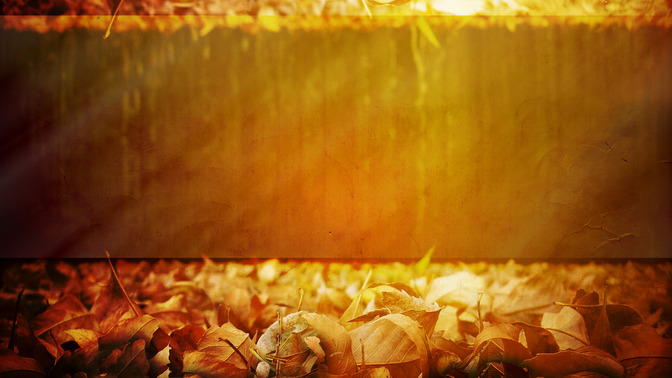 You_Belong_16x9-BACKGROUND#preset=tg_bg.jpg