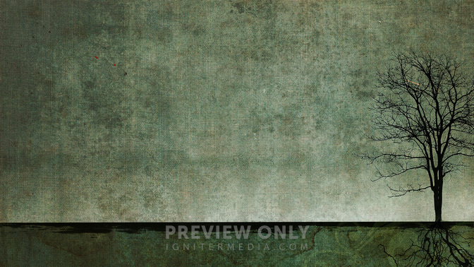 Dwell_In_Safety_WIDE-CONTENT-3#preset=tg_alt3.jpg