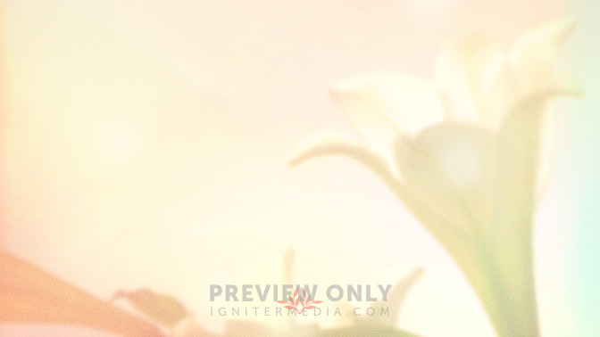 Lilies_-_Thanks_For_Coming_16x9-BACKGROUND#preset=tg_bg.jpg