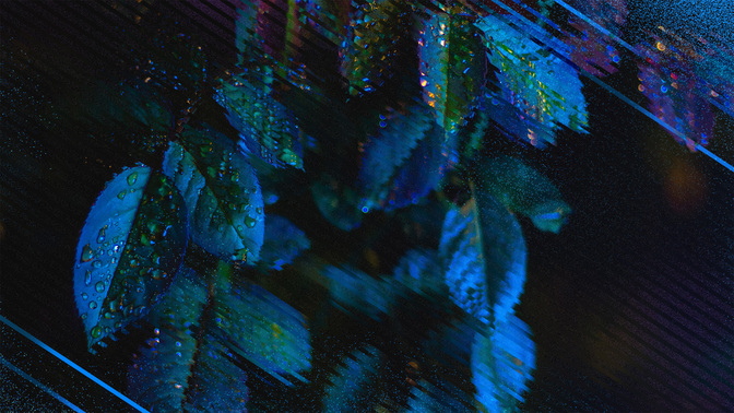 SinglesConference-WIDE#preset=tg_title3.jpg