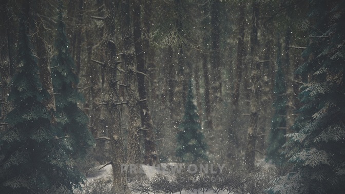 Winter_Wonderland_5_HD.jpg
