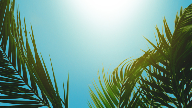 PalmSundayTitle_WIDE-#preset=tg_title3.jpg