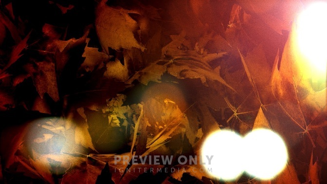FallLeavesSpin-HD.jpg