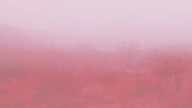 Womens_Bible_Study-WIDE#preset=tg_alt2.jpg