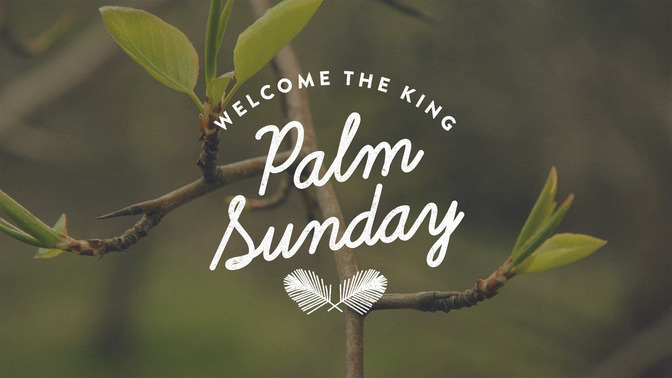 blossoms - palm sunday