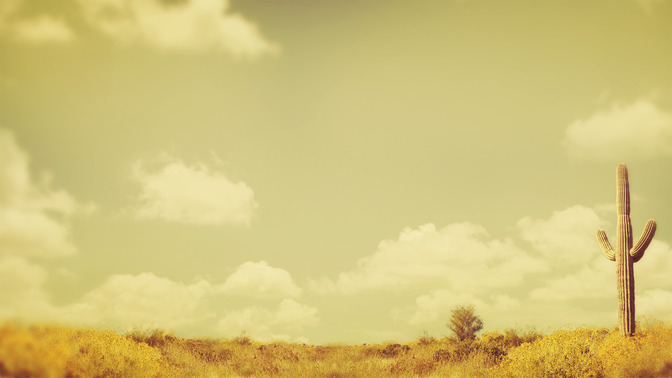 Prayers_in_the_Desert_16x9-BACKGROUND#preset=tg_bg.jpg