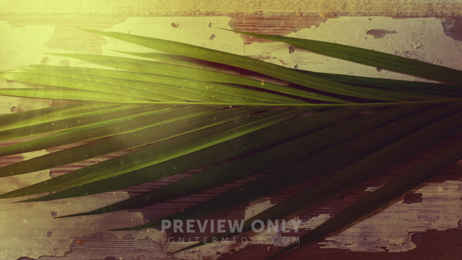 Portraits_Of_Passion_Palm_Sunday_Blank_HD.jpg