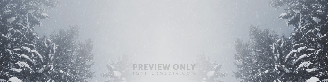 Majestic_Snow_Big_Trees_MS_1920x480.jpg