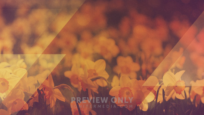 Morning_Flowers_-_God_Bless_16x9-TITLE-3#preset=tg_title3.jpg