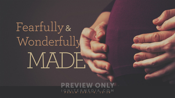 fearfully & wonderfully made