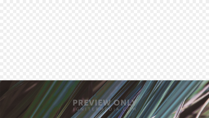 Events-WIDE#preset=tg_transparent_png_preview.jpg