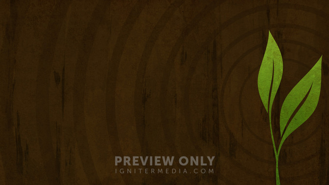 Life_of_a_Seed_16x9-BACKGROUND#preset=tg_bg.jpg