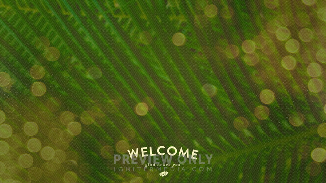 Palm_Bokeh_-_Welcome_16x9-CONTENT-1#preset=tg_alt1.jpg