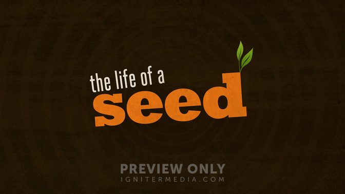 Life_of_a_Seed_16x9-TITLE-2#preset=tg_title2.jpg