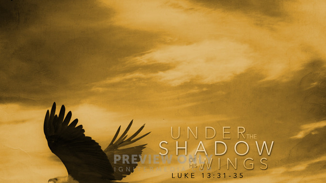Under_The_Shadow_of_His_Wings_16x9-CONTENT-1#preset=tg_alt1.jpg