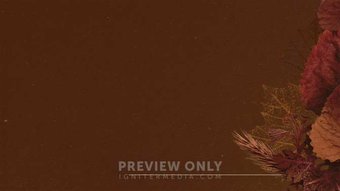 Autumn Nature_Alt2_Main_WIDE#preset=tg_alt2.jpg