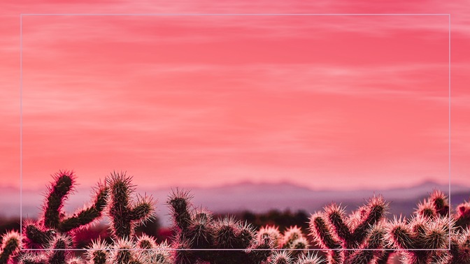 desert pink - 2