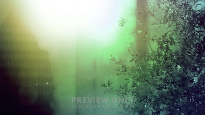 CityBlossomsYellow-1280x720.jpg
