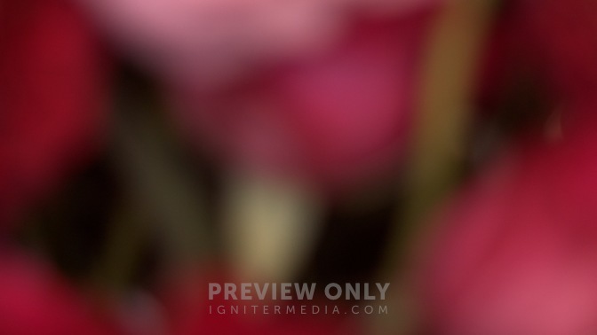 Spring_Floral_Flowers_Rotate_HD.jpg