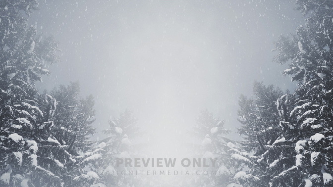 Majestic_Snow_Big_Trees_HD.jpg