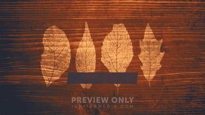 Wood_Leaves-Art_Of_Giving_WIDE-TITLE-3#preset=tg_title3.jpg