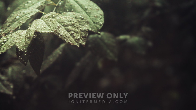 Rainy_Day_Gray_HD.jpg