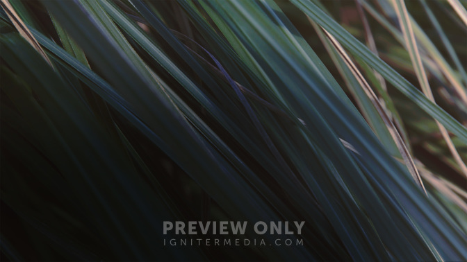 Events-WIDE#preset=tg_alt2.jpg