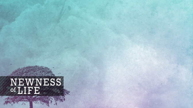 Newness_of_Life_16x9-CONTENT-2#preset=tg_alt2.jpg