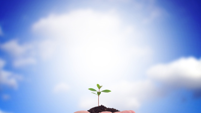 El_Crecimiento_Que_Da_Dios_16x9-BACKGROUND#preset=tg_bg.jpg
