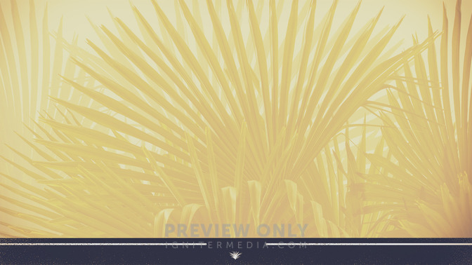Palm_Sunday_16x9-CONTENT-3#preset=tg_alt3.jpg