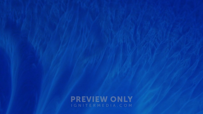 X_Paint_Blue_WIDE.jpg