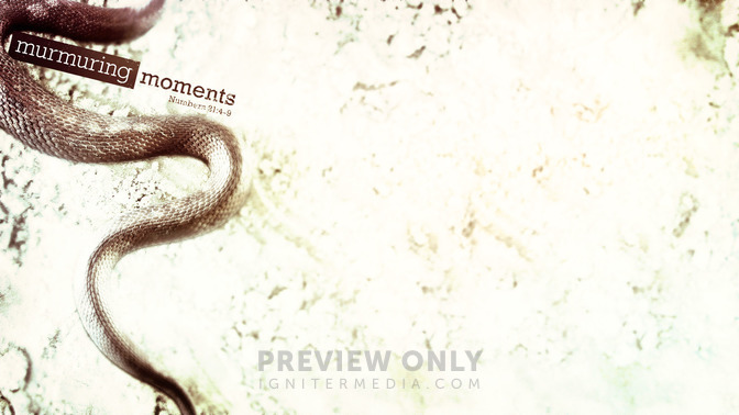 Murmuring_Moments_16x9-CONTENT-1#preset=tg_alt1.jpg