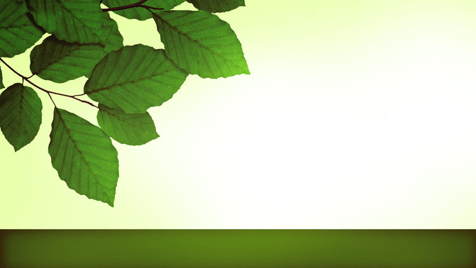 Spring_Leaves_-_Tithes_and_Offerings_16x9-TITLE-3#preset=tg_title3.jpg